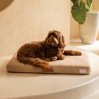 Brigette Romanek Luxury Dog Bed