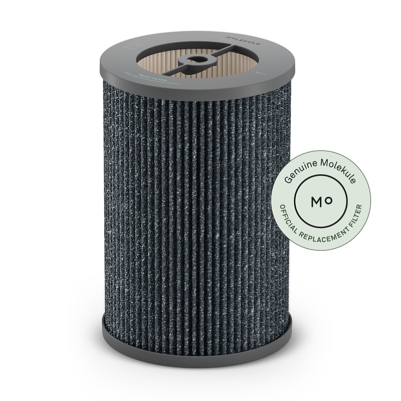 Molekule Peco-hepa Tri-powered Filter For Air Pro In Charcoal Grey