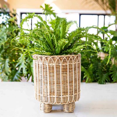 Provence Rattan Round Planter