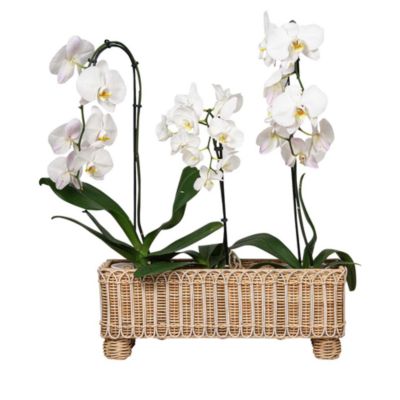 Provence Rattan Rectangular Planter
