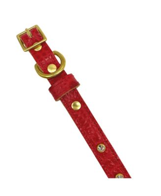 Crystal-Studded Croc Leather Dog Collar