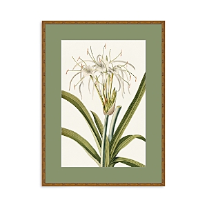 Shop Wendover Art Group Tropic Foliage 5 Wall Art In Gold