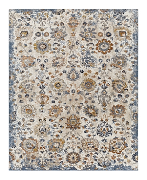 Surya Tuscany Tus-2331 Area Rug, 2' X 3' In Neutral