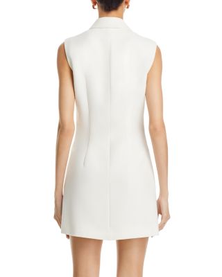 Whisper Sleeveless Tux Mini Dress