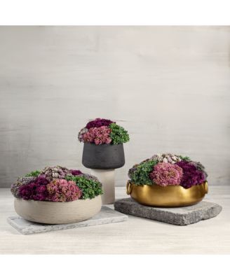 Alba Gold-tone Sedum Arrangement