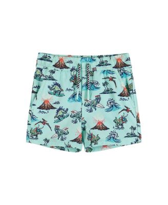 Andy & Evan - Boys' Surfing Dinosaur Boardshorts - Little Kid, Big Kid