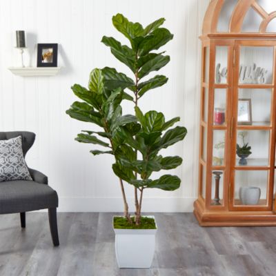 5.5ft. Fiddle Leaf Artificial Tree in White Metal Planter UV Resistant (Indoor/Outdoor)