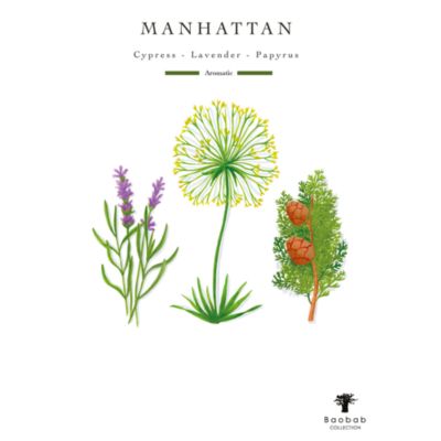 My First Baobab Candle &amp; Diffuser Gift Box – Manhattan