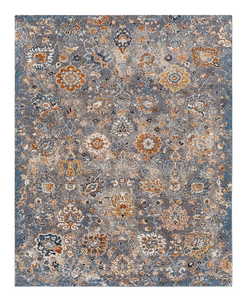 Livabliss Tuscany Tus-2331 Area Rug, 2' x 3'