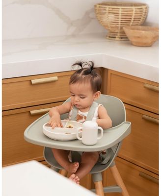  First Bites Full Kit