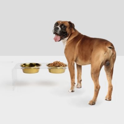 Medium Clear Double Bowl Pet Feeder, 1 Quart Bowls