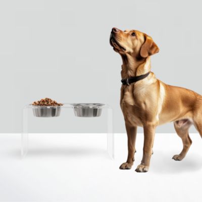 Tall Double Bowl Pet Feeder with Metal Bowls