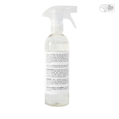 Surface Cleaner
