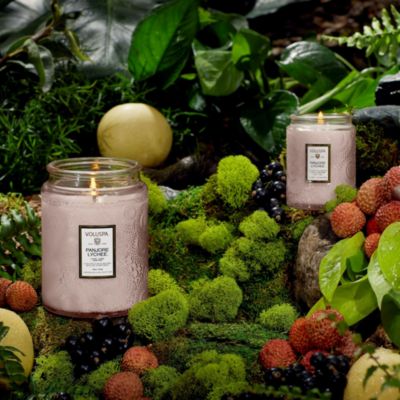 Japonica Panjore Lychee Collection