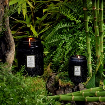 Moso Bamboo Collection