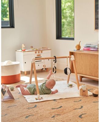 The Play Gym - Age 0-24 Months
