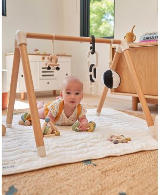 The Play Gym - Age 0-24 Months