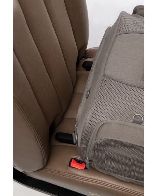 Dupree I Airline Carry On Pet Car Seat