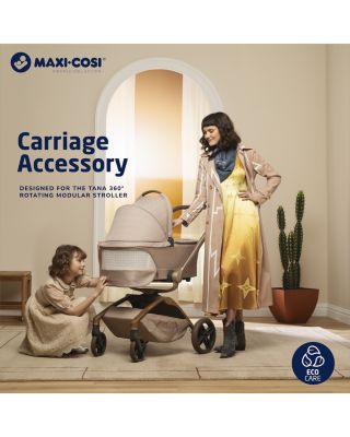 Carriage Accessory