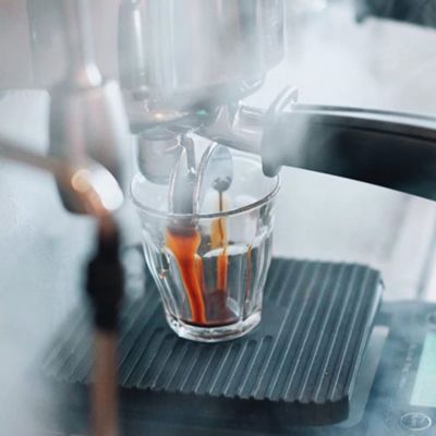 Picardie 5.37 oz. Tumbler, Set of 6