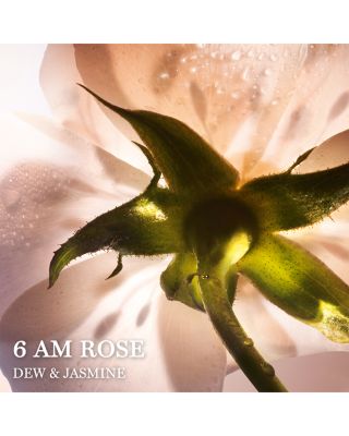 Absolue 6 AM Rose Eau de Parfum 3.4 oz.