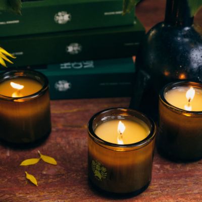 Tuscan Rosemary Candle 8 oz.