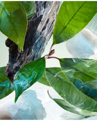 Pour Homme Eau de Parfum 3.4 oz.