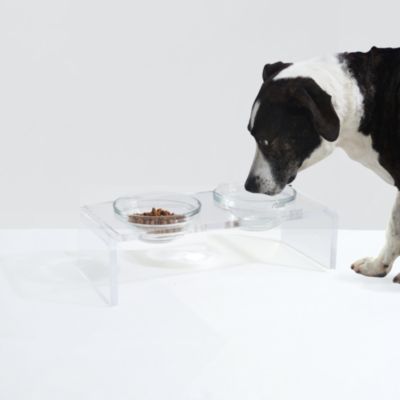 Small Clear Double Glass Bowl Pet Feeder, 1 Quart Bowls