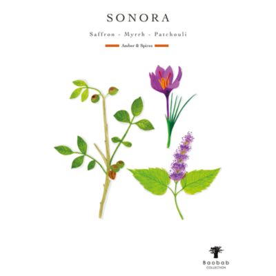 Totem Sand Sonora Luxury Mini Bottle Diffuser, 8.45 oz.