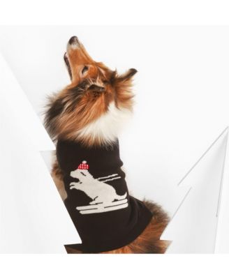 Skiing Dog Pet Sweater