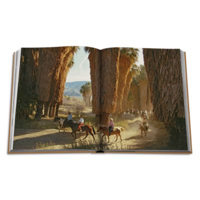 Palm Springs Book