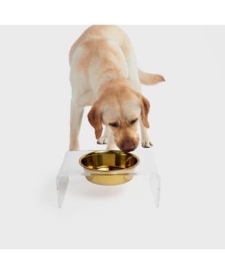 Clear Single Pet Bowl Feeder