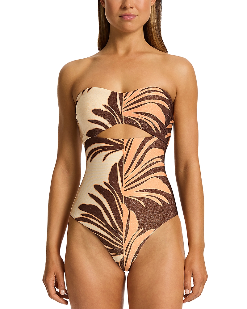 Jets Cutout One Piece Swimsuit In Chocolate