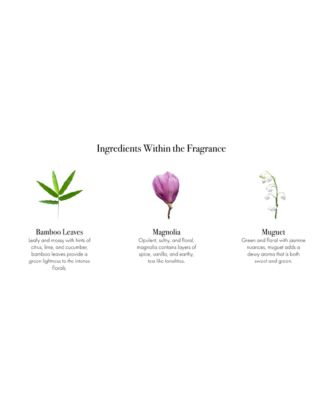 Star Magnolia Reed Diffuser Refill, 8.4 oz.