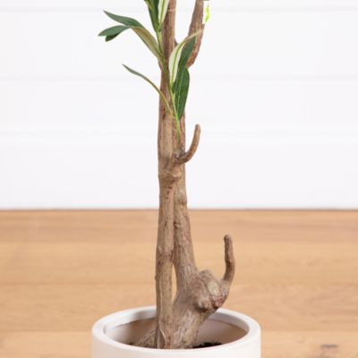 7&#39; Artificial Minimalist Olive Tree in White Decorative Planter