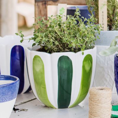 Viva Garden Tulip Large Cachepot