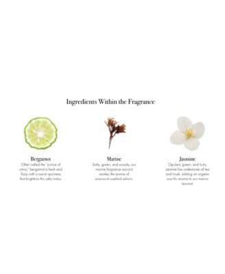 Marine Signature Candle, 15.5 oz.