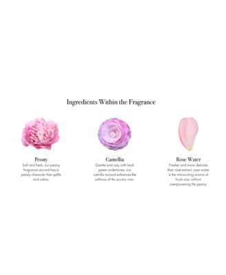 Duchess Peony Fragrance Collection