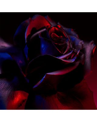 UN PARC DE ROSES EN ALABAMA Parfum Refill 5 oz.