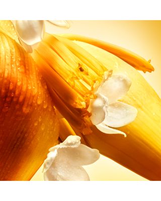  I AM DAWN Parfum Discovery Gift Set