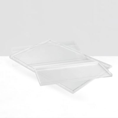  Clear Overflow Feeder Tray