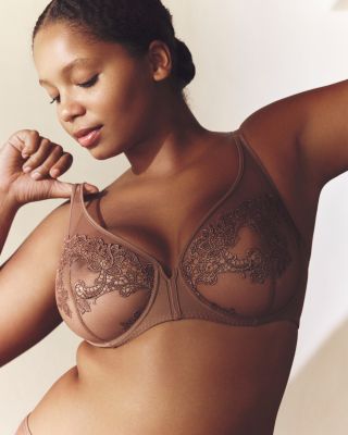 Saga Sheer Plunge Underwire Bra