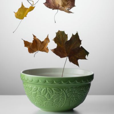 Set of 2 In the Forest Hedgehog 1.15 Quart Mixing Bowls