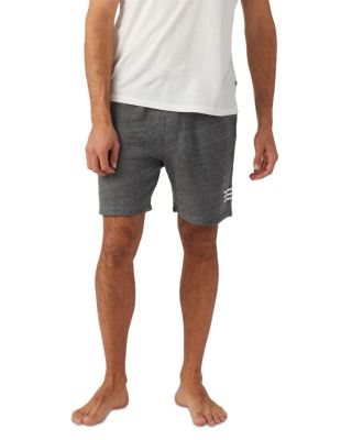 Waves Essential Shorts