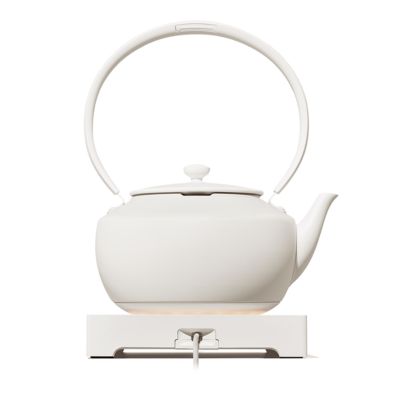 MoonKettle Electric Kettle