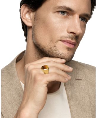 Men's Streamline Signet Ring in 18K Yellow Gold with Tiger's Eye, 18mm