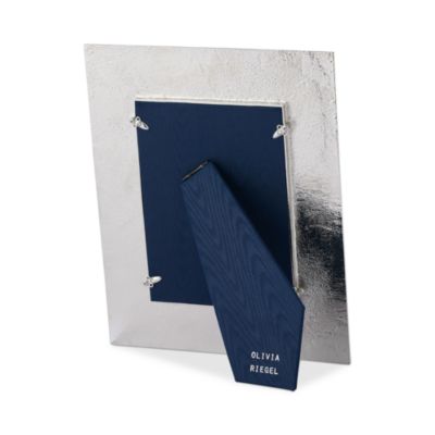 Blue & White Imperial Phoenix Frame, 5" x 7"