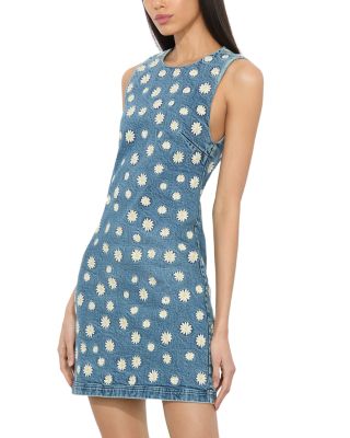 Wynell Embroidered Denim Mini Dress