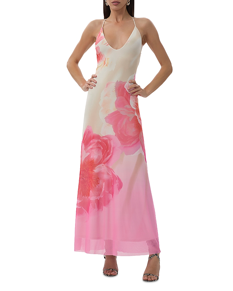 Shop Afrm Romy Placed Floral Mesh Maxi Dress