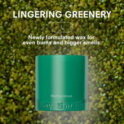 Herbaceous Standard Candle, 8.5 oz.